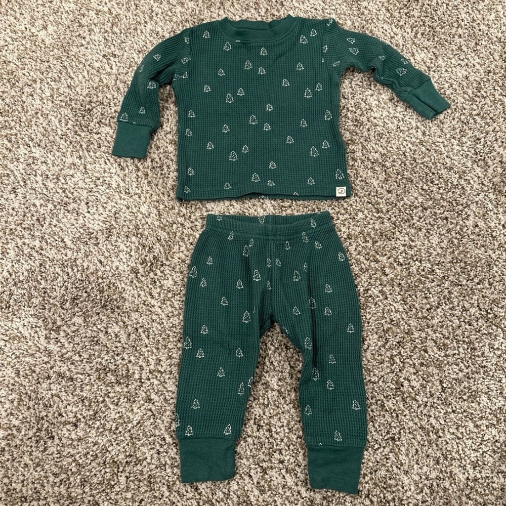 Carter’s Little Planet Organic 2 Piece Set
